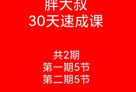 【游资胖大叔】胖大叔绝密炒股课程30天速成班第一期+第二期-静思博客