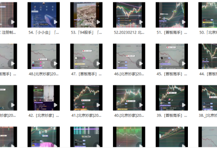 北京炒家直播视频合集-静思博客