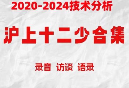 沪上十二少期货培训课程 波段趋势交易2019-2024技术分析 小红圈资料-静思博客