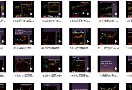 龟股堂《股票T+0实战秘籍》分时做T技巧 共32集-静思博客