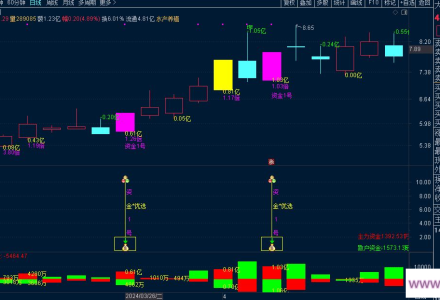 叶梵宸指标2024资金1号【每天盘中 主选①支】《无忧版》《K线追踪主散因果》-静思博客