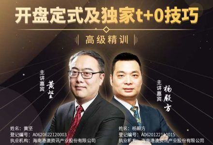 杨殿方 开盘定式及独家t+0技巧2023-静思博客