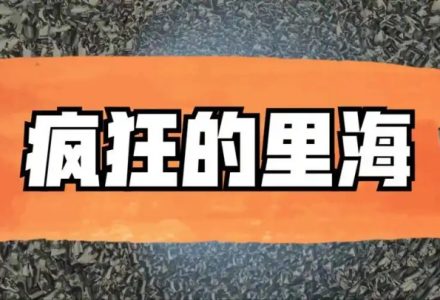 疯狂的里海投资周记里海的直播2024.11-静思博客