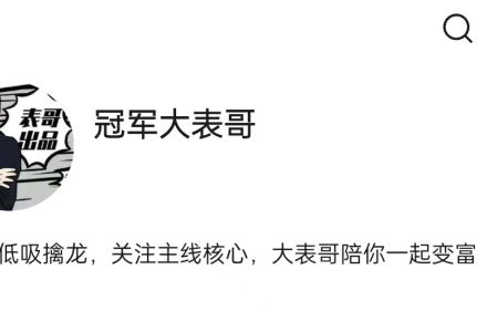 【冠军大表哥】主线核心专栏,大表哥价值百万投资课，低吸擒龙情绪周期-静思博客